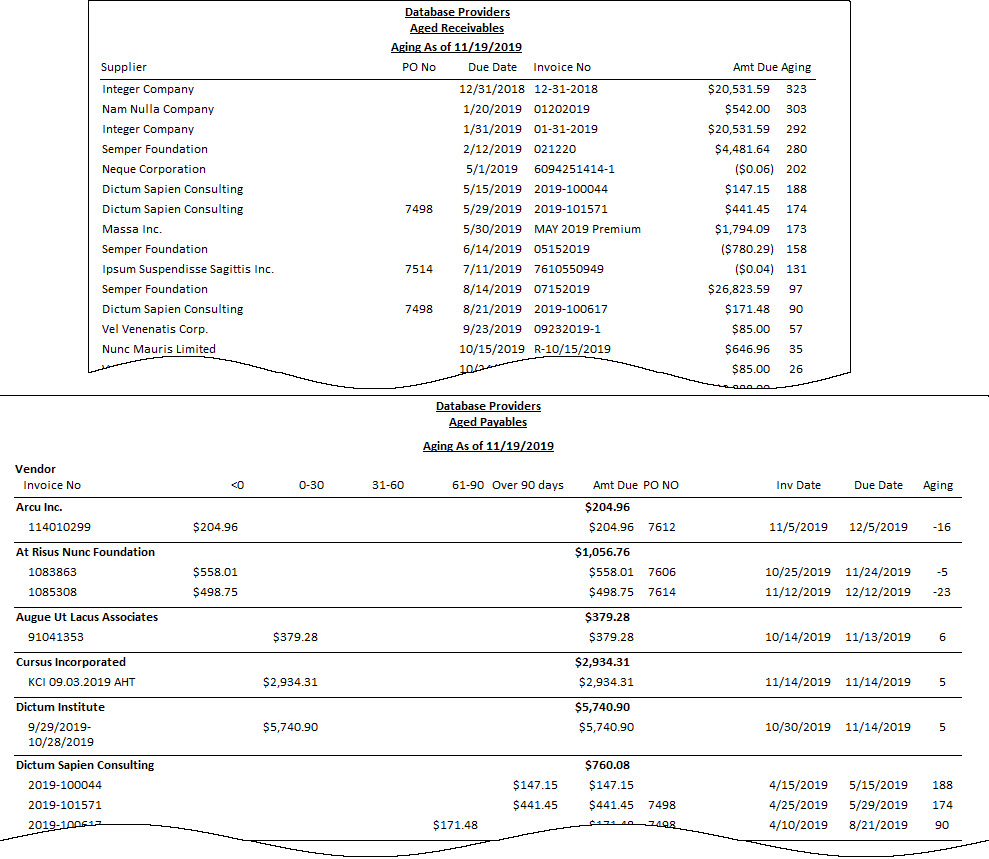 Accounts Payable Reports Account Payables Report Views