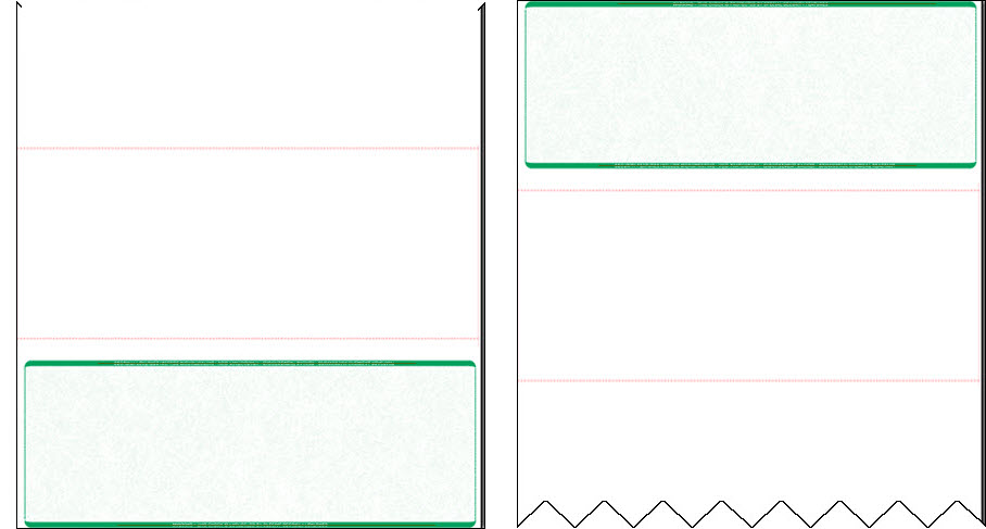 BlankCheck Tri-Fold Business Check Examples